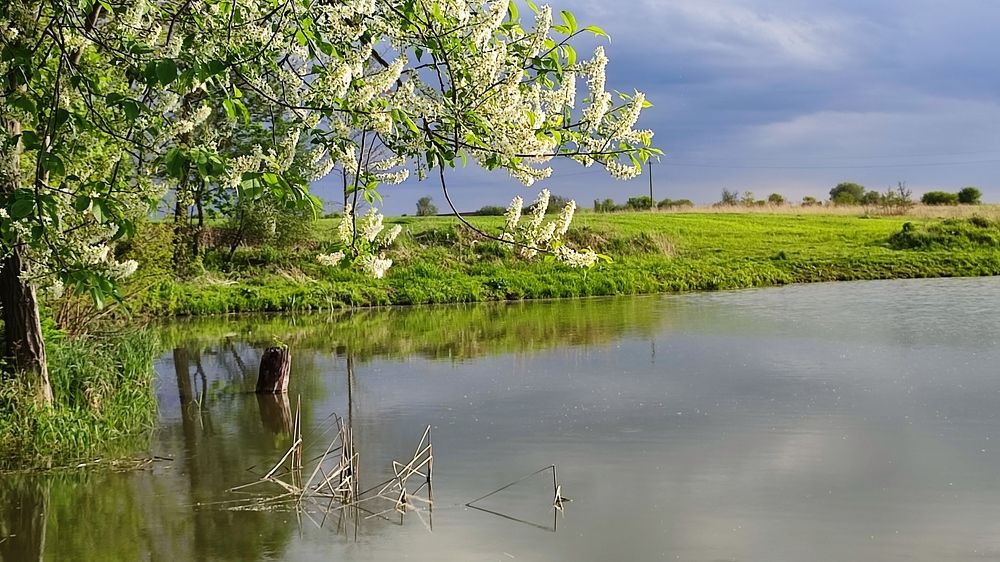 Photograph by Людмила