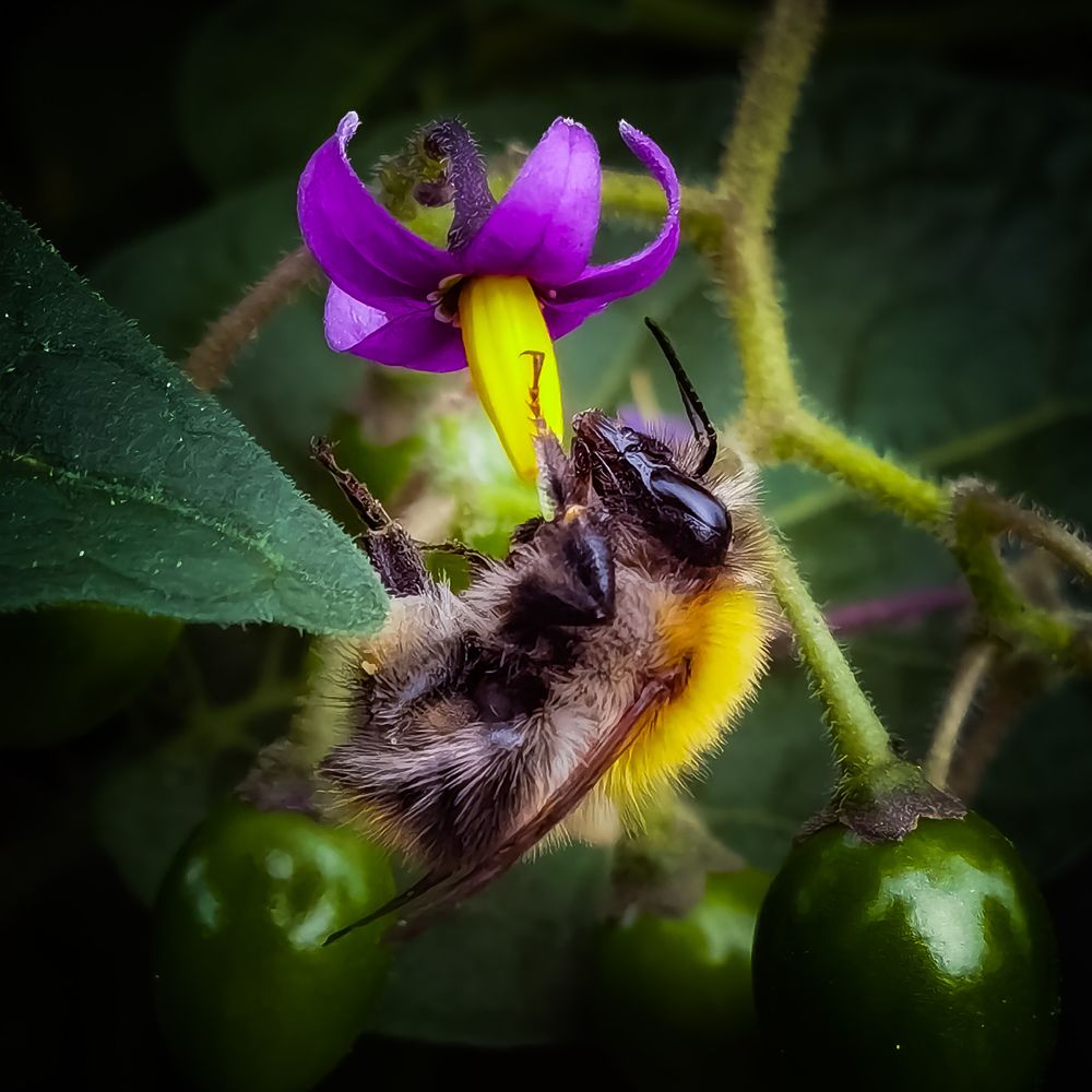 Photograph by Michael Deligan