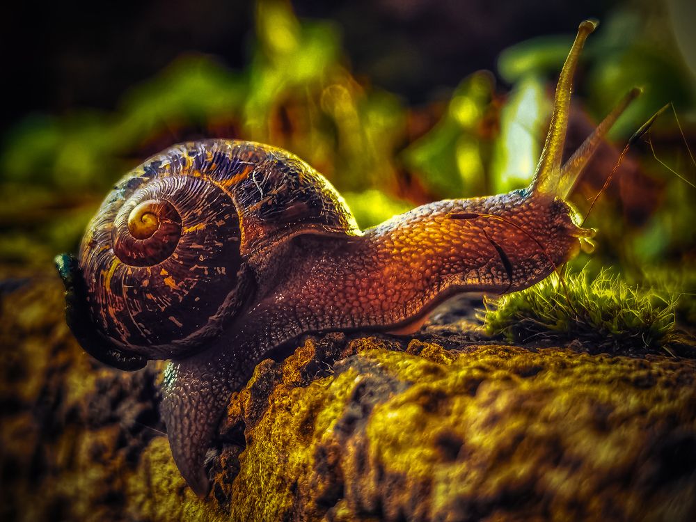 Photograph by Michael Deligan