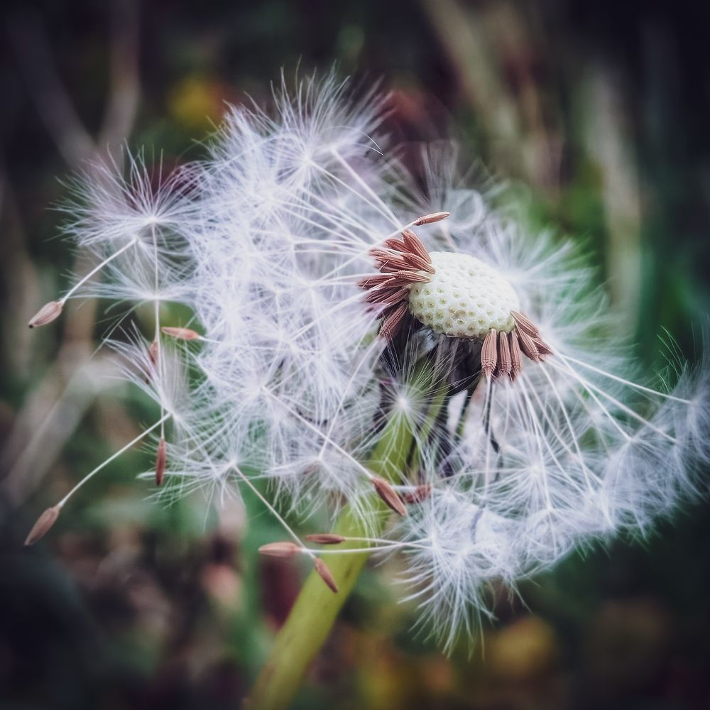 Photograph by Michael Deligan