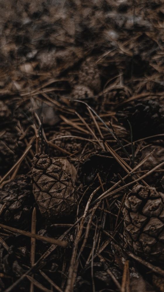 Photograph by Игорь Тихонов