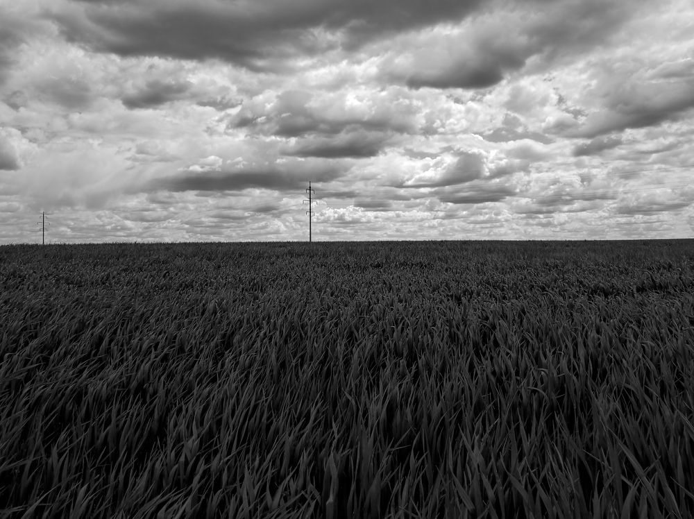 Photograph by Александр Кравченко