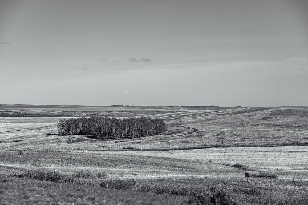 Photograph by Дмитрий Бровко