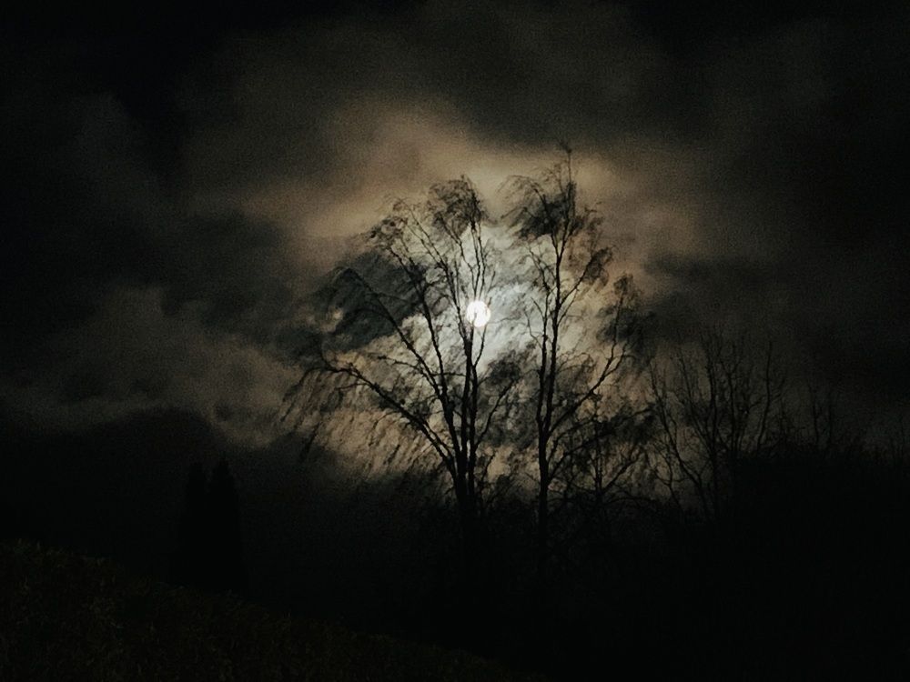 Photograph by Olga Bakke