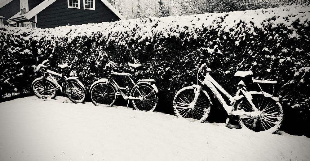 Photograph by Olga Bakke