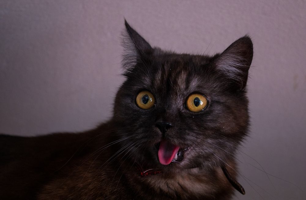 Photograph by Дмитрий Бровко