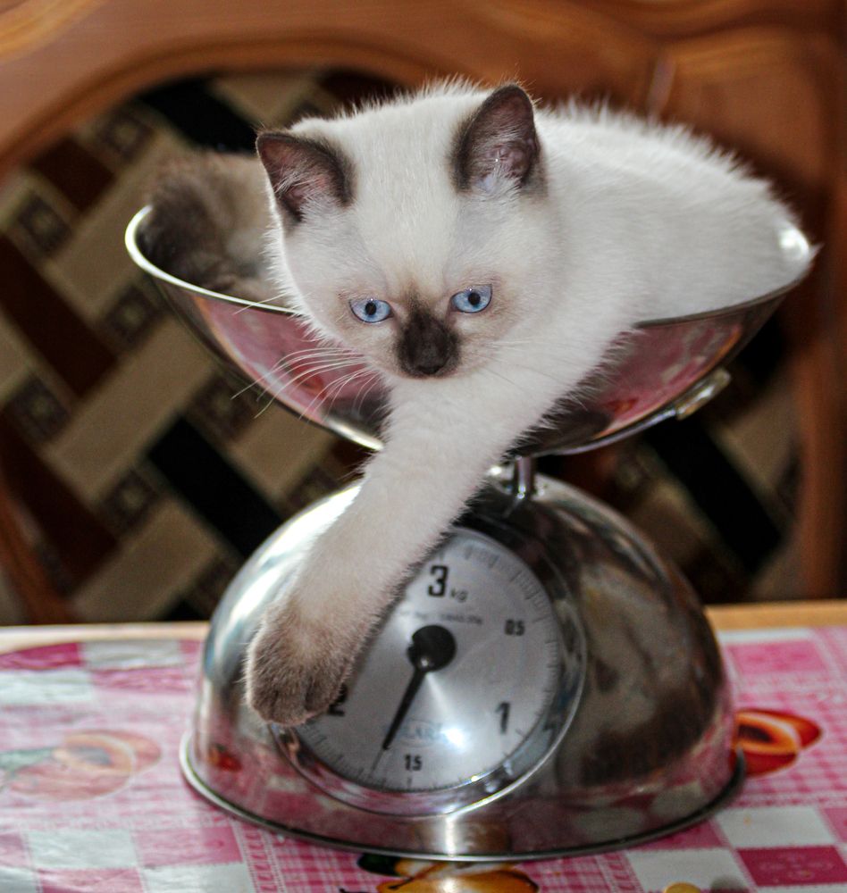 Photograph by Олег Чернышев