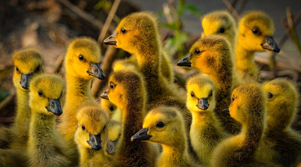 Photograph by Curt Lundeen