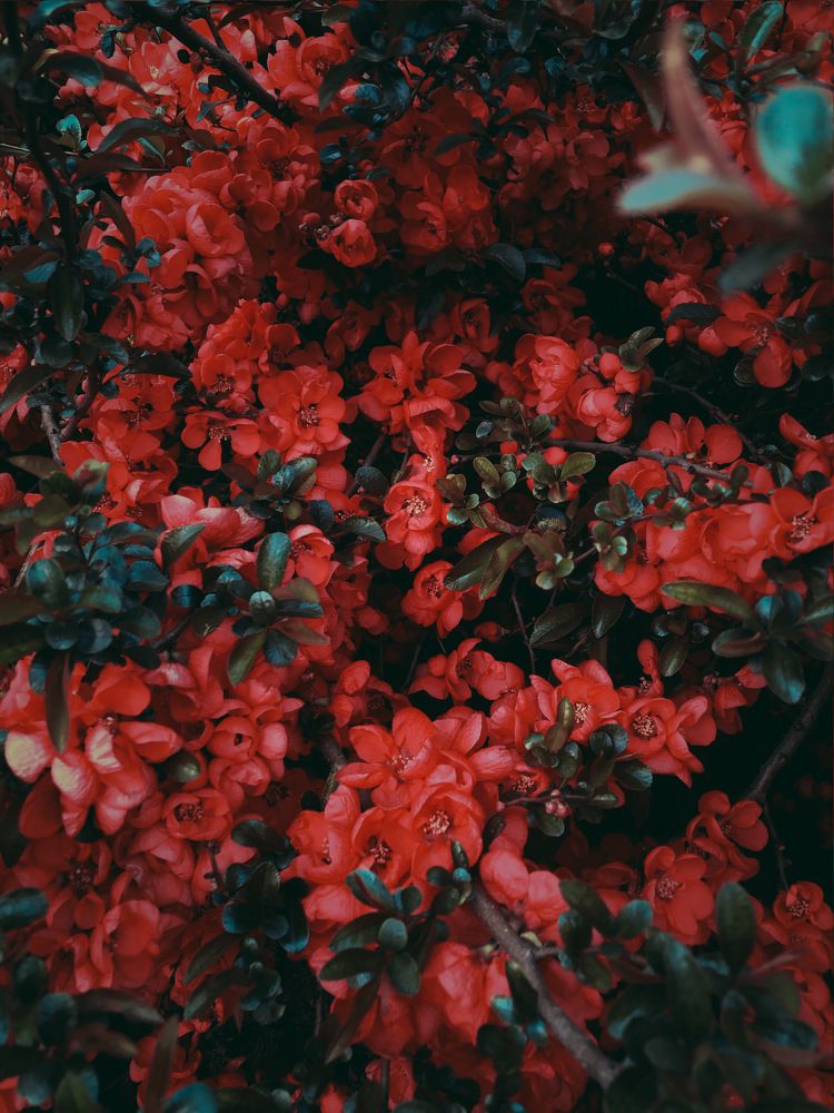 Photograph by Kate Sokolova