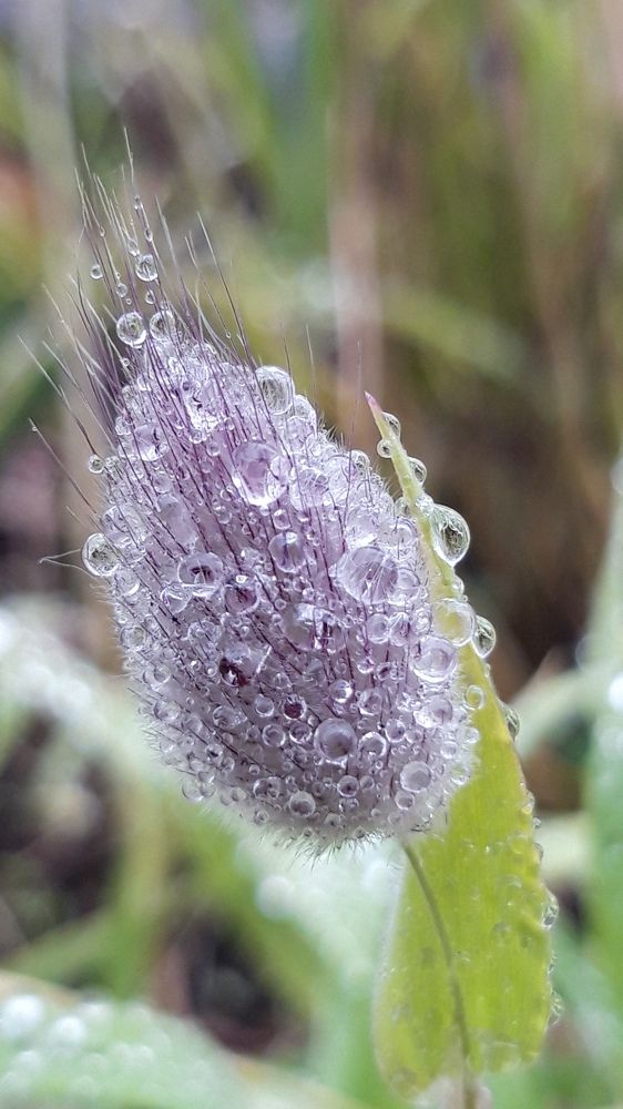 Фотография автора Elena