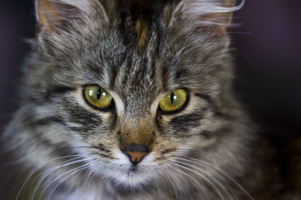 Photograph by Анна-Лаймуте Милошевич