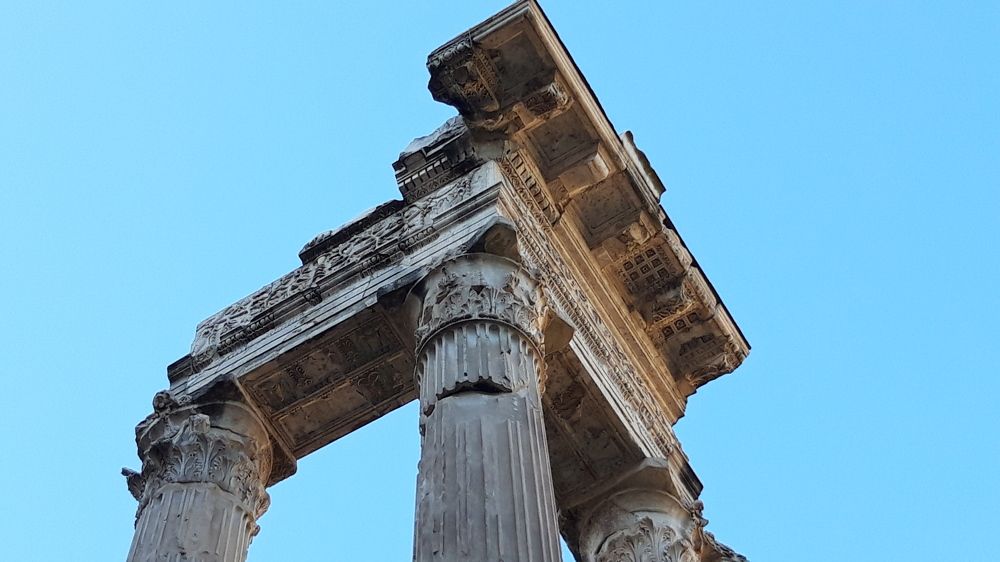 Фотография автора Elena