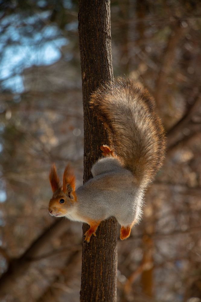 Photograph by Татьяна Ярмак