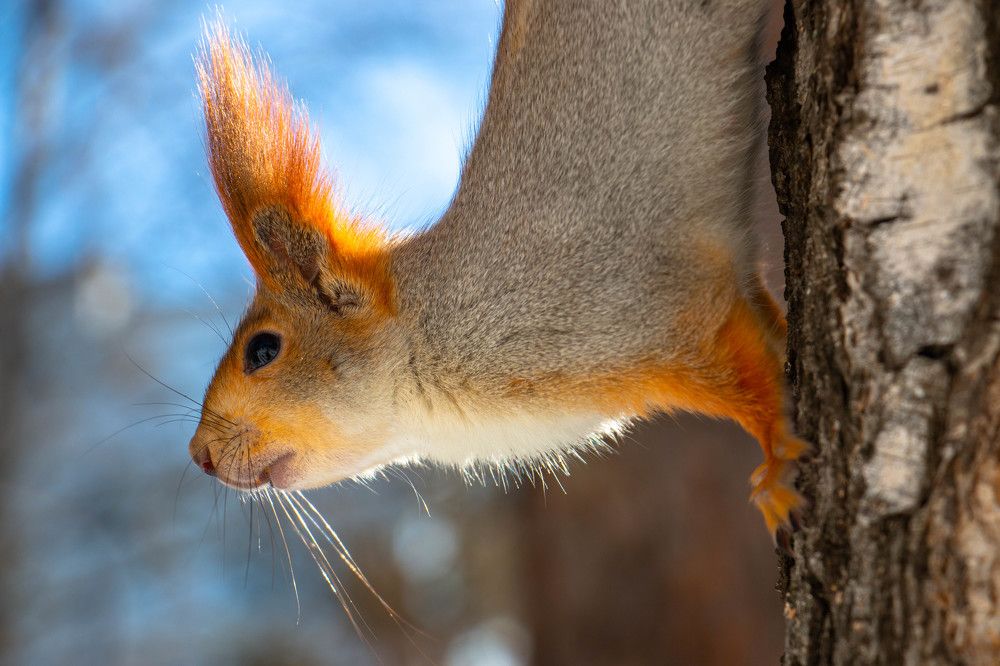 Photograph by Татьяна Ярмак