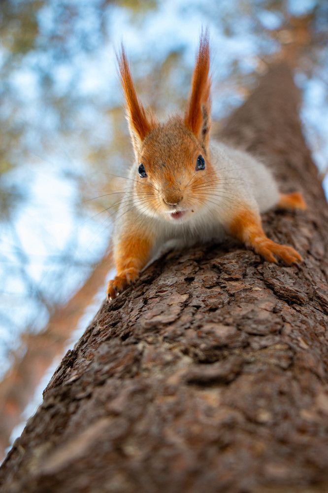 Photograph by Татьяна Ярмак