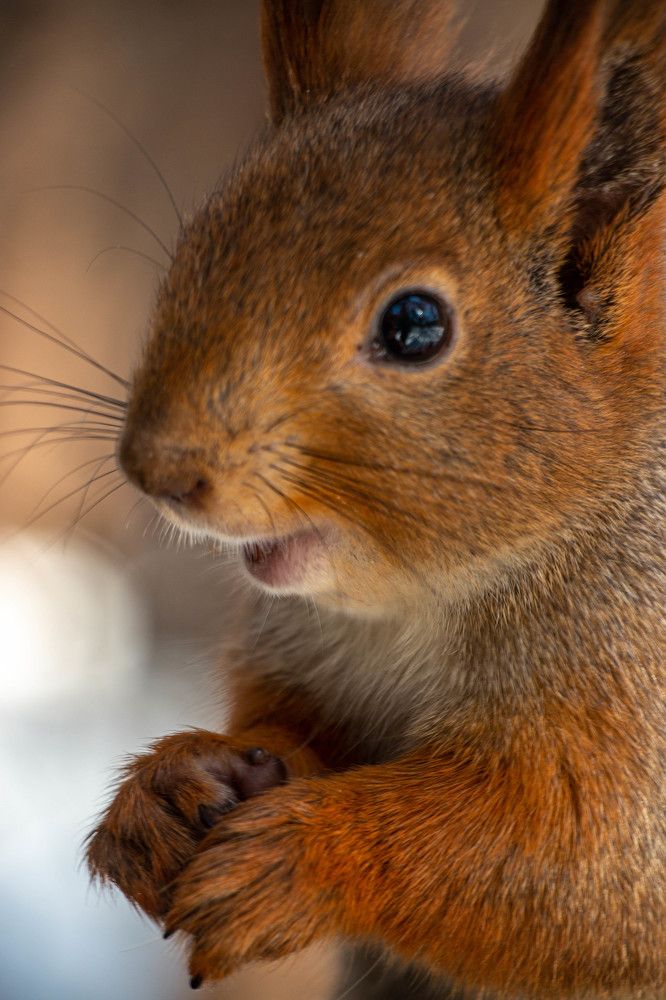 Photograph by Татьяна Ярмак