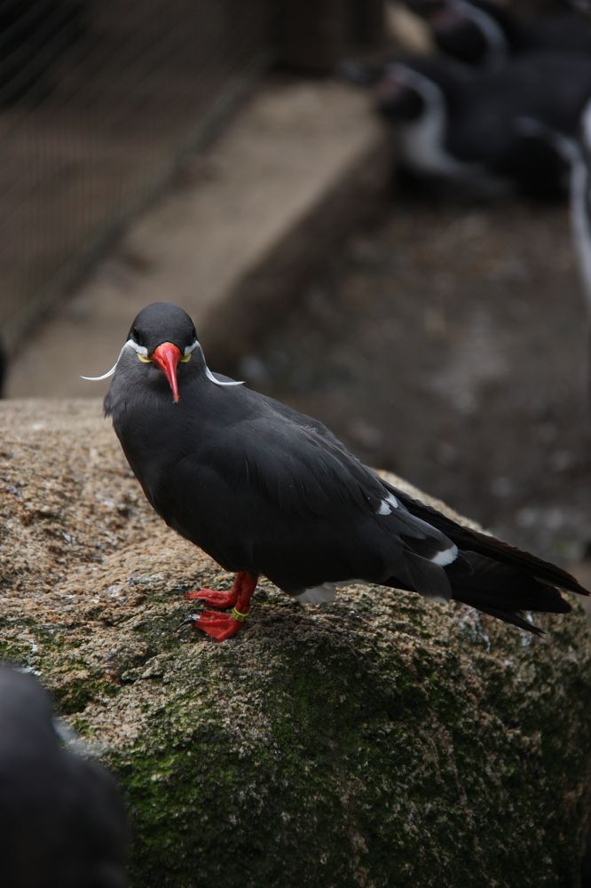 Photograph by Alena Vaganova