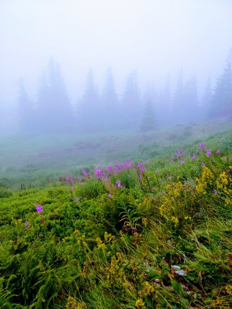 Photograph by Ольга Жаркова