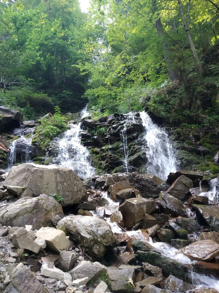 Photograph by Ольга Жаркова