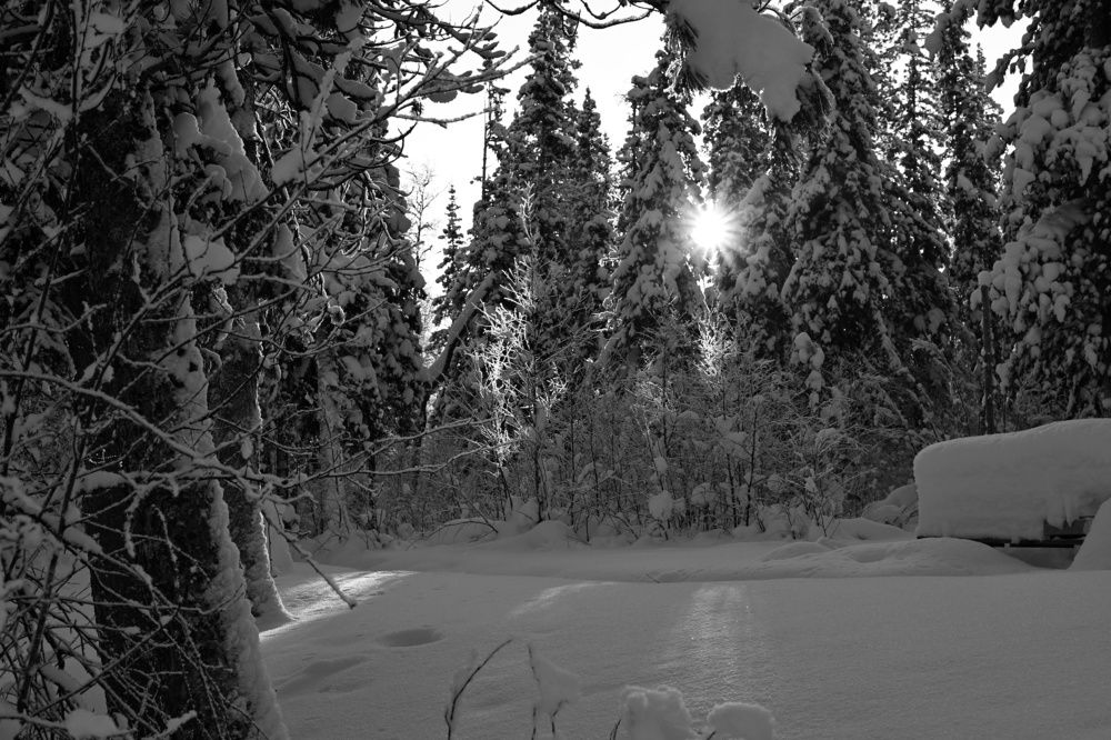 Photograph by Анна Глаговская