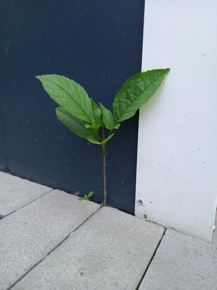 Photograph by Ольга Шевцова