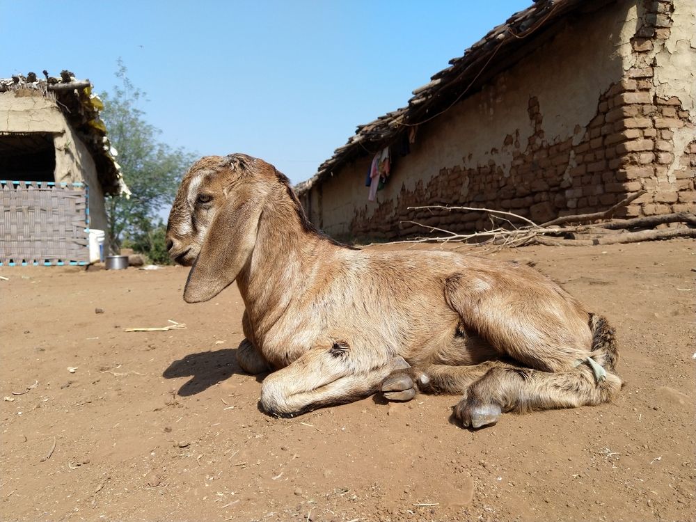 Photograph by sumit sitole