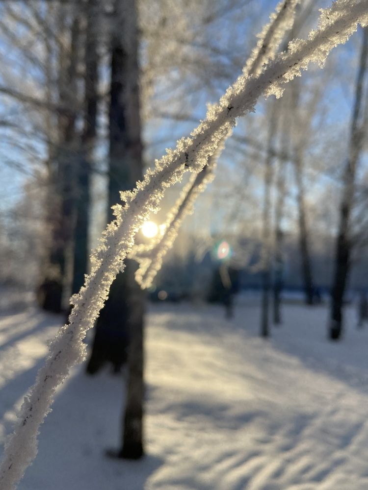 Photograph by Елена Макшеева