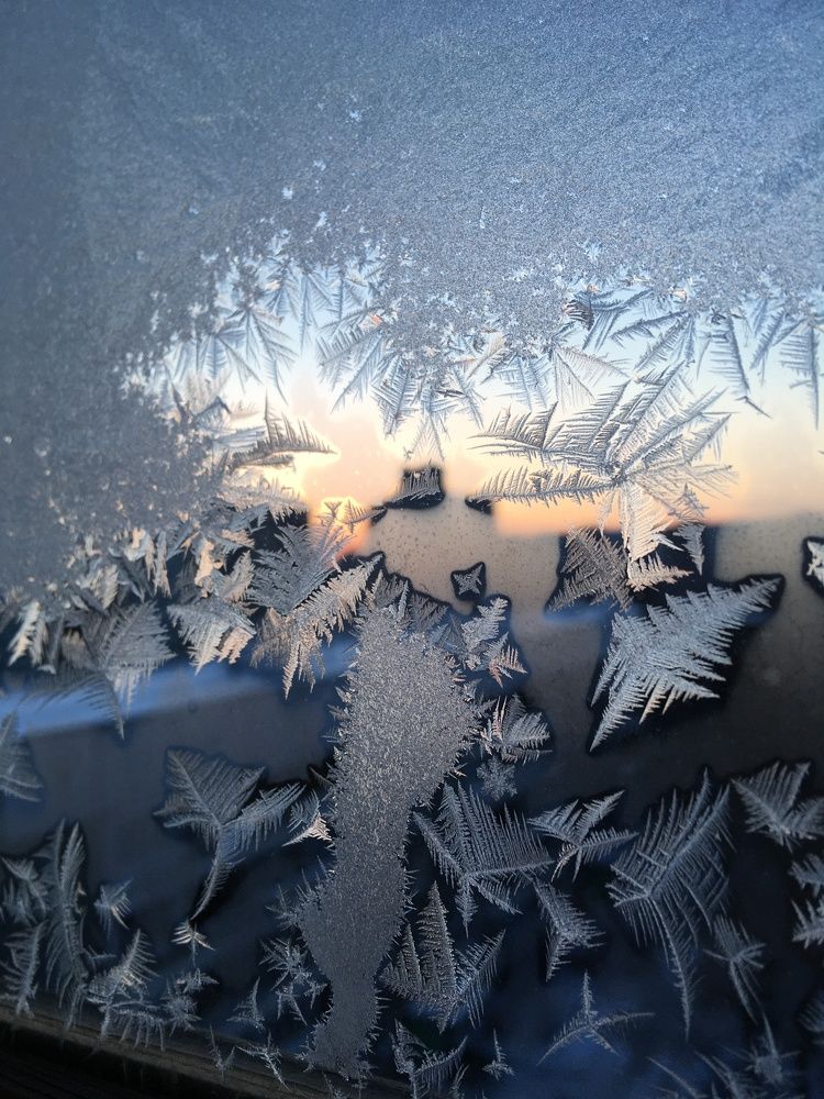 Photograph by Елена Макшеева