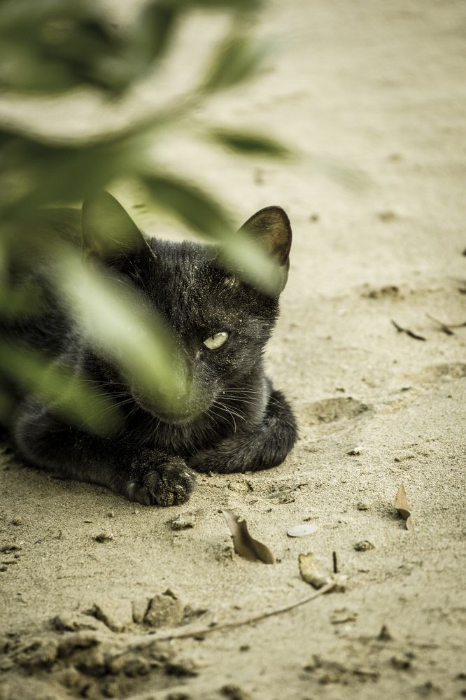 Photograph by Mutasim AL-Bulushi