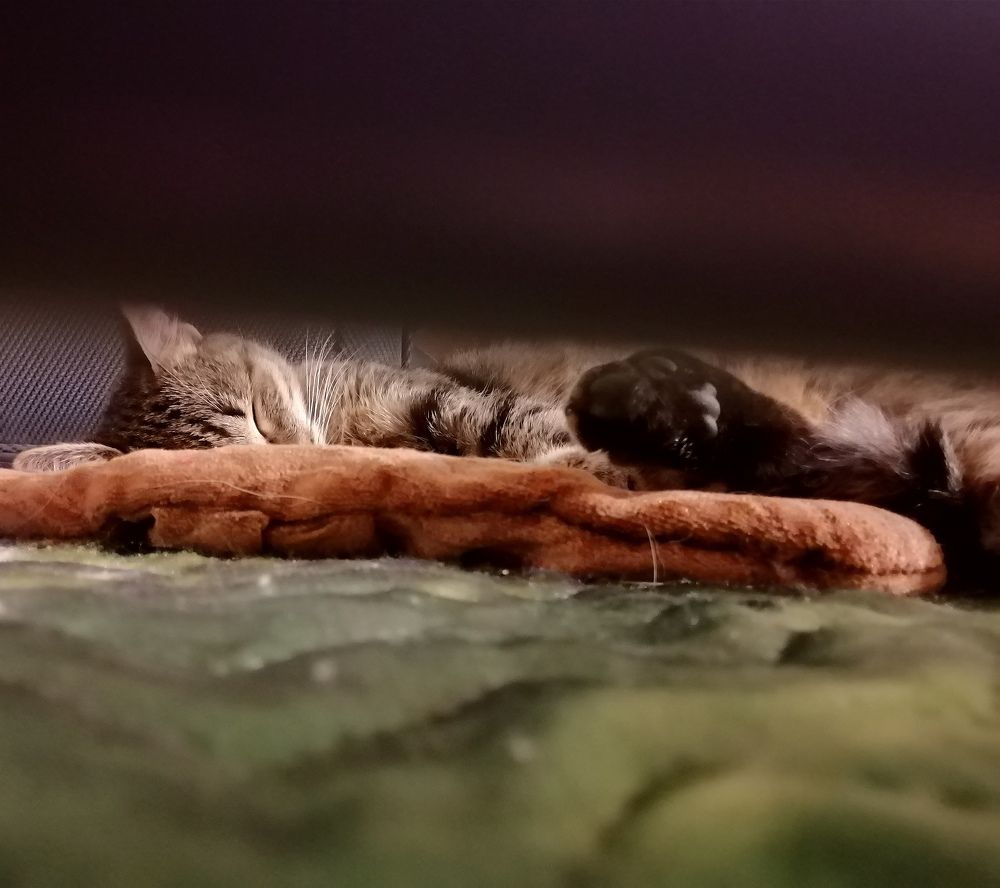 Photograph by Диана Грэске