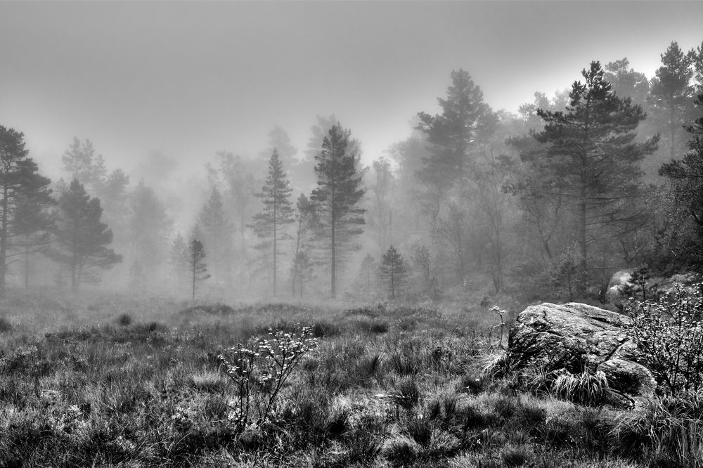 Photograph by Станислав Аникин