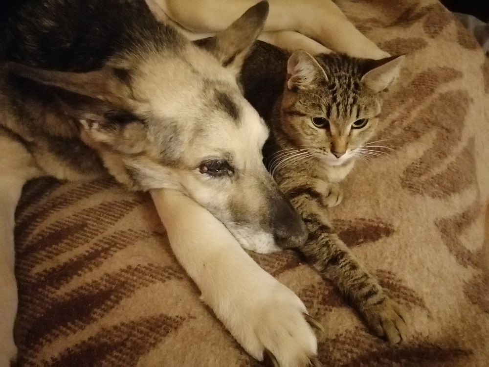 Photograph by Диана Грэске