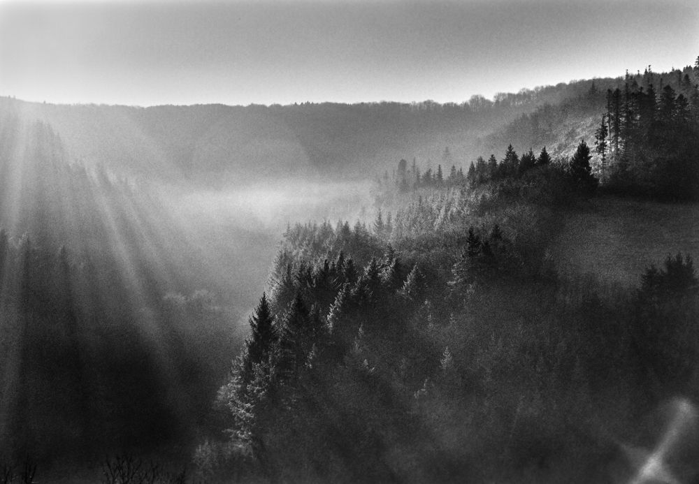 Photograph by Станислав Аникин