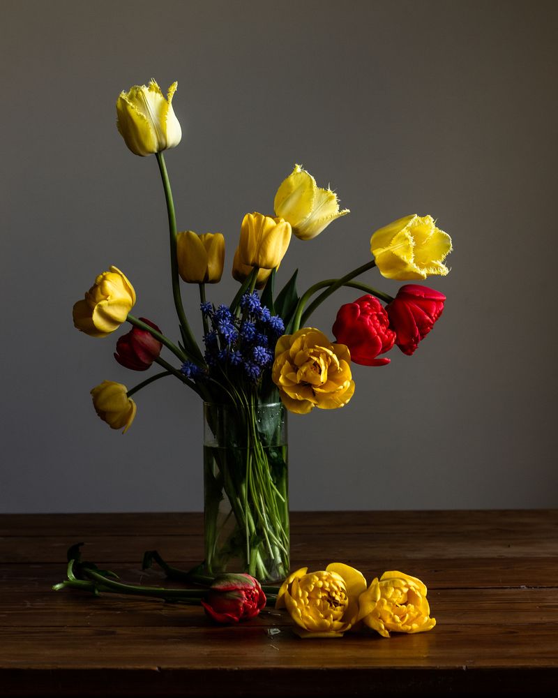 Photograph by Майя Полещук