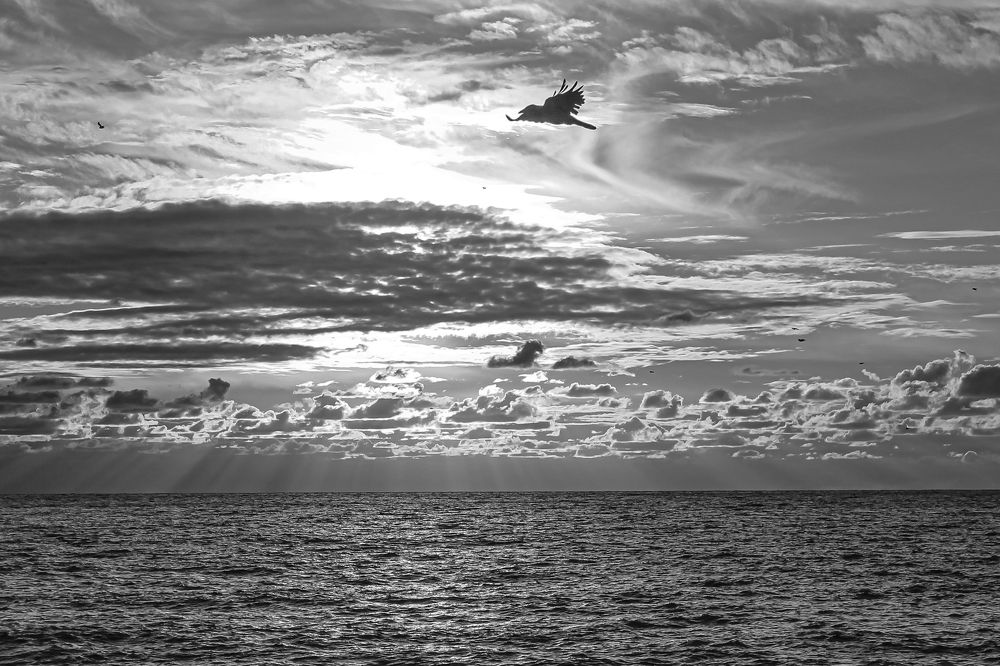 Photograph by Елена Лотник