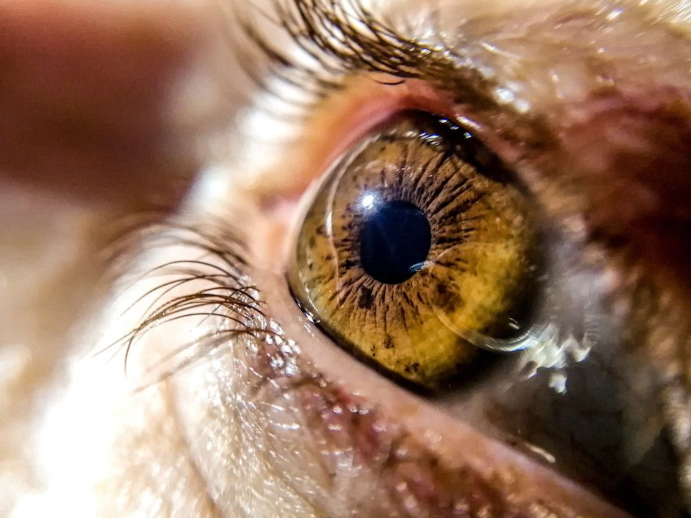 Photograph by Sajad Nori