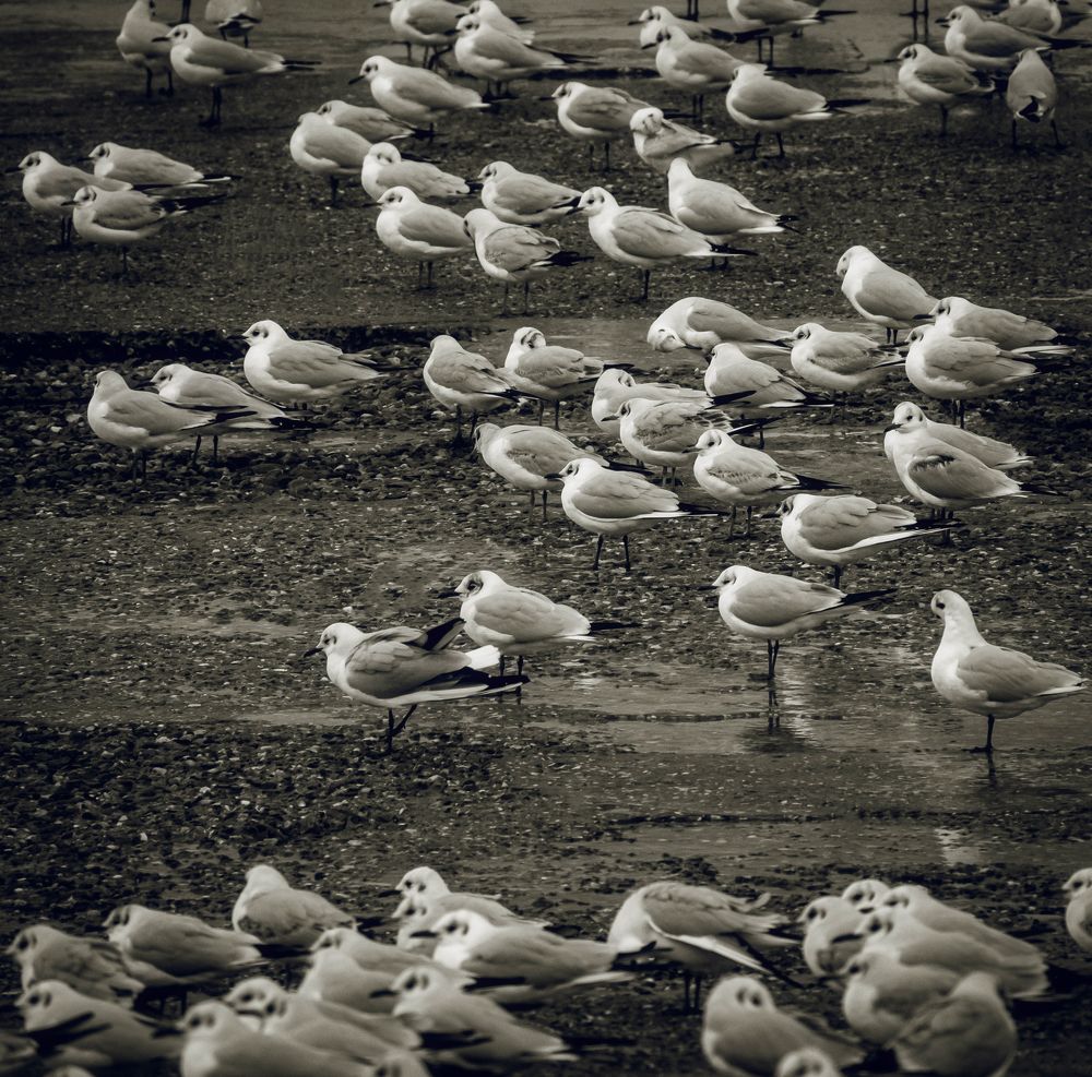 Фотография автора Константин Яковлев