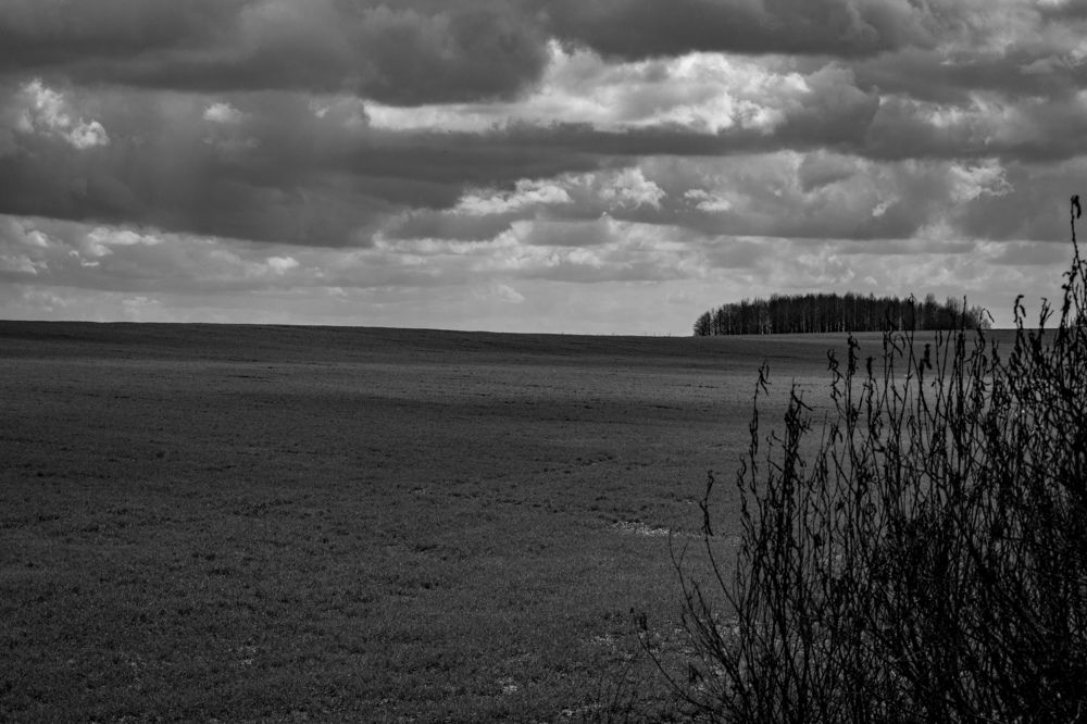 Photograph by Виктор Сердюков