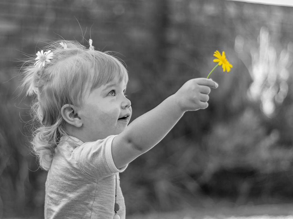 Photograph by Ken Stavrou