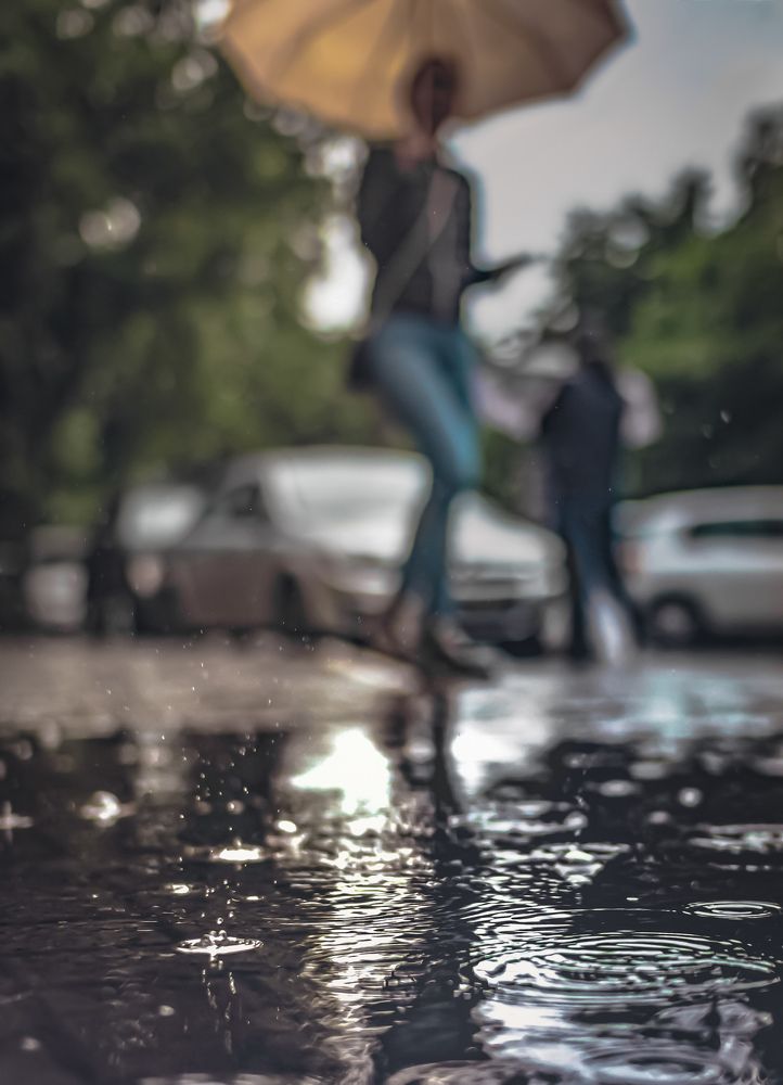 Фотография автора Константин Яковлев