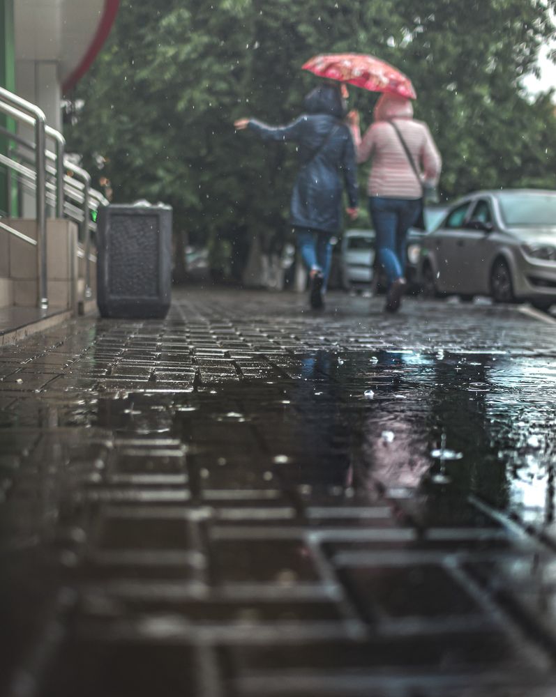 Фотография автора Константин Яковлев