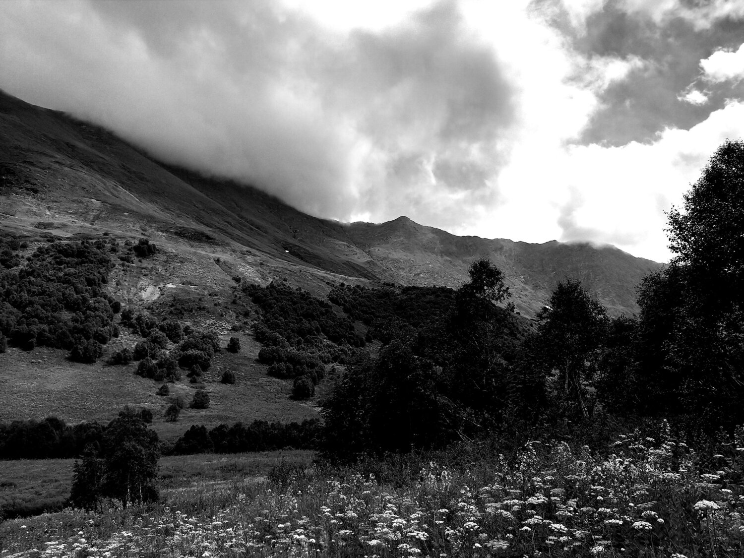 Photo #7575682