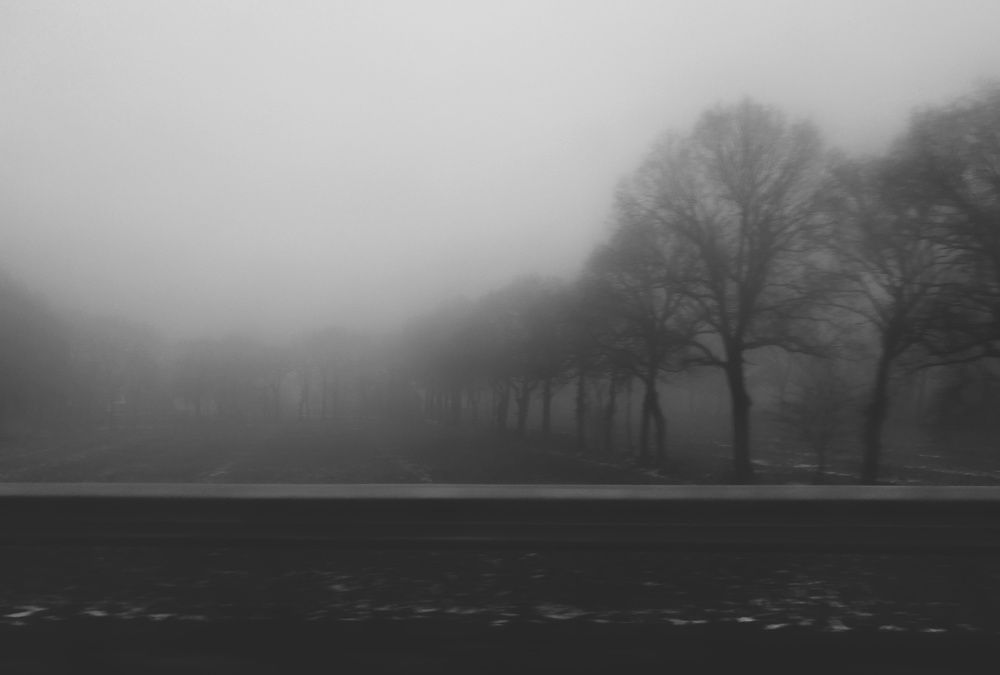 Photograph by Павел Куренбин