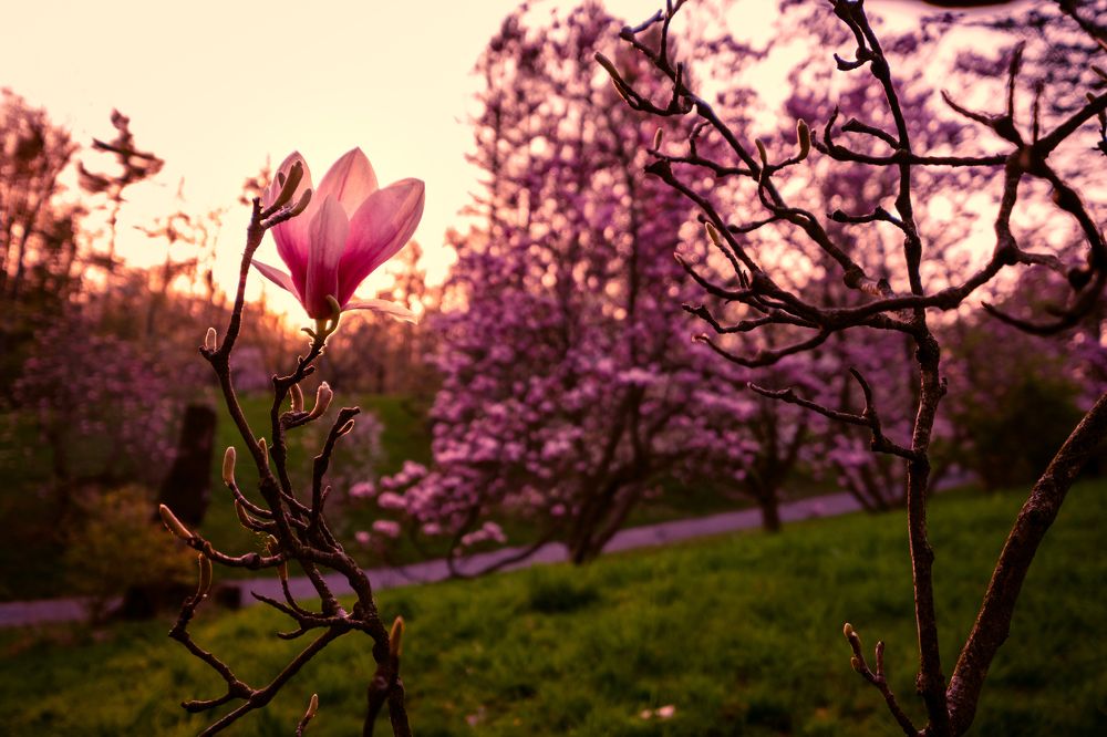 Photograph by Greg Noakes