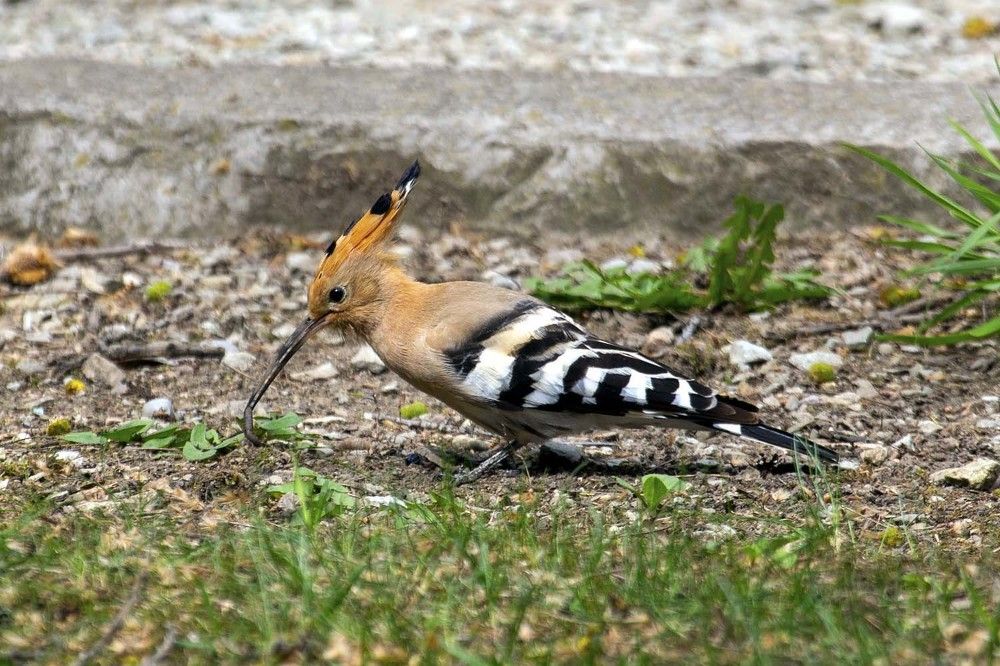 Photograph by Игорь Селин