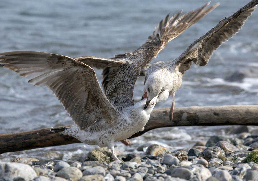 Photograph by Игорь Селин