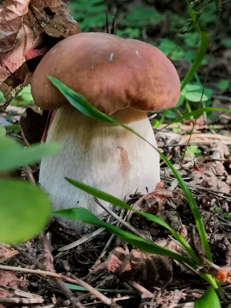 Photograph by Екатерина Овсянникова