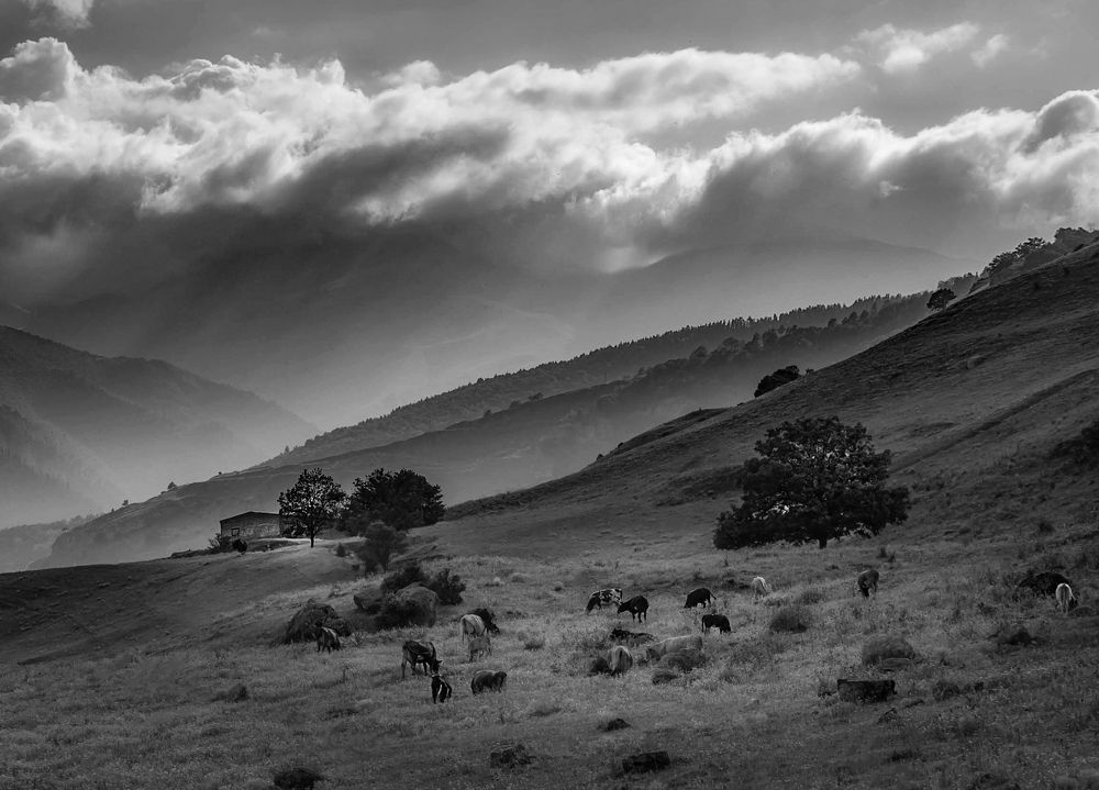 Фотография автора Константин Яковлев