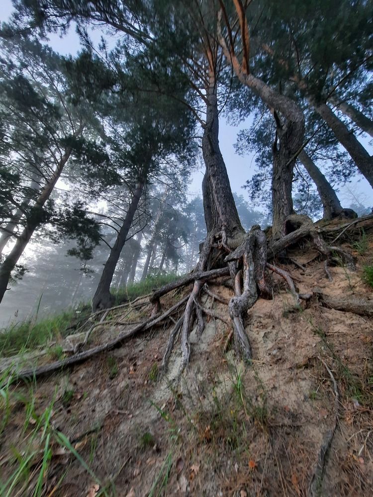 Photograph by Юлия Лаптева