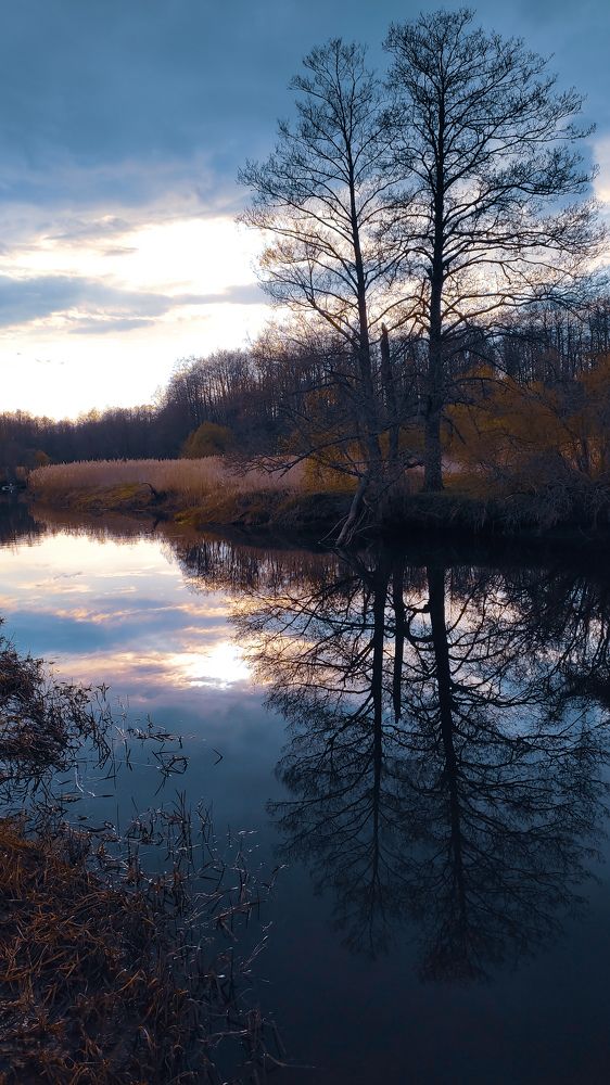 Photograph by Михаил Бородкин